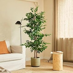 Plantas artificiales para ambiente spa