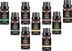 Guía para Elegir un Pack de Aceites de Masaje Perfecto