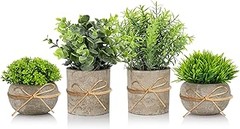 Plantas Artificiales para Spa en Casa vs. Spa Profesional: ¿Cuál Elegir?