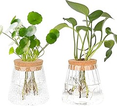 Inspírate con estas ideas de decoración usando jarrones