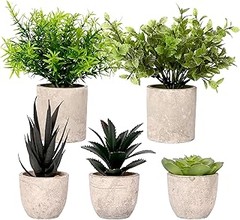 Cómo Mantener tus Plantas Artificiales para un Ambiente Spa Perfecto
