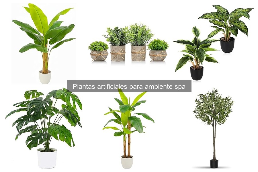 Comparativa: Plantas Artificiales vs Naturales para Spa