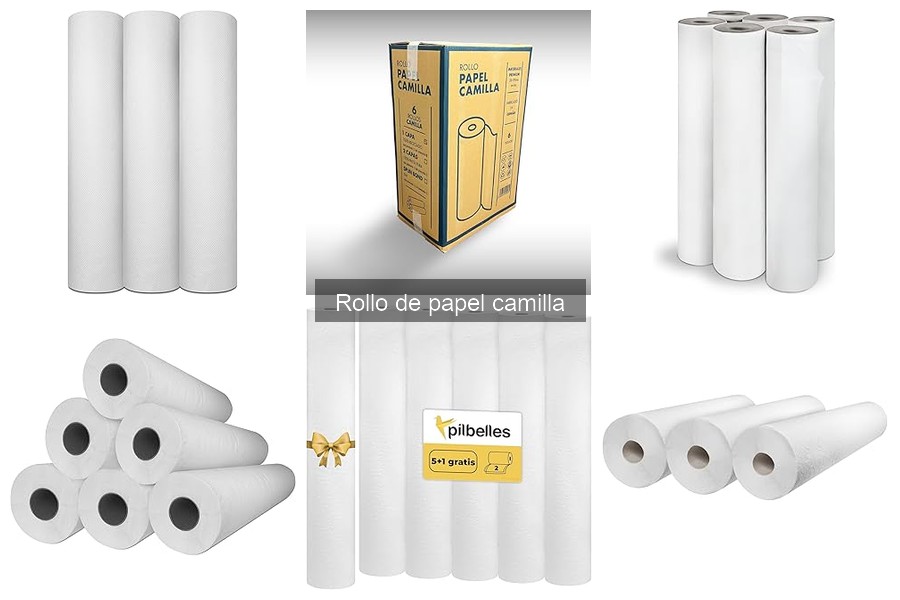 Guía para elegir el mejor rollo de papel camilla