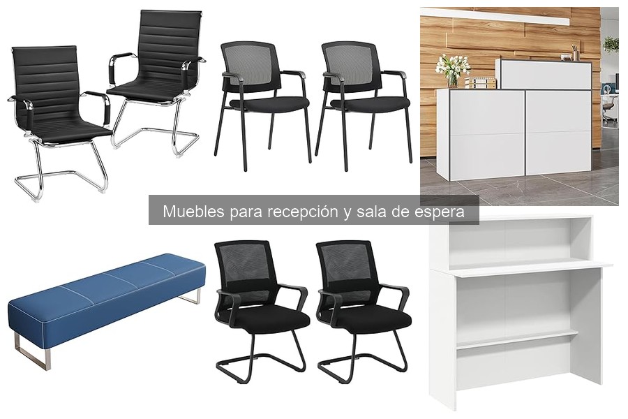 Ventajas de Muebles Ergonómicos en la Sala de Espera